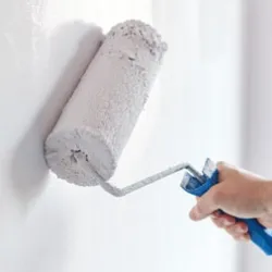 Gamme brosses et rouleaux Caparol